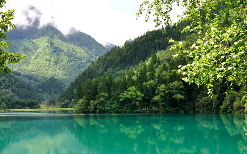 高性能高效全自动